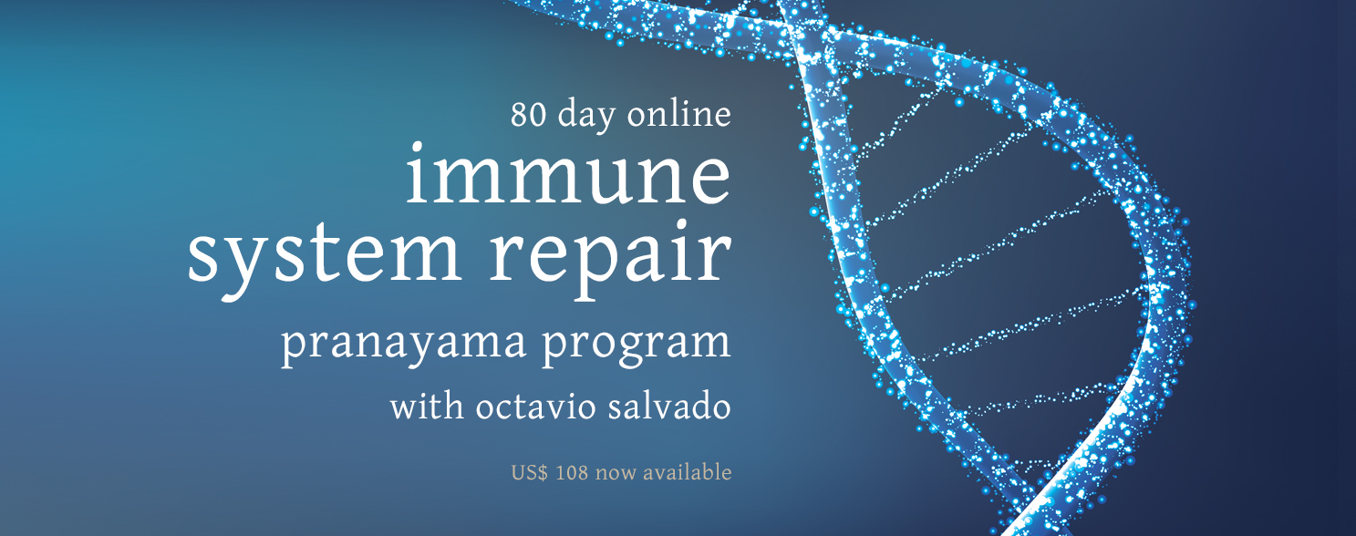 the-practice-traditional-hatha-yoga